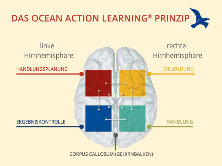 Ocean Action Learning-Prinzip