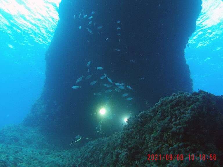 Beeindruckende Unterwasser-Landschaft mit Höhlentauchen